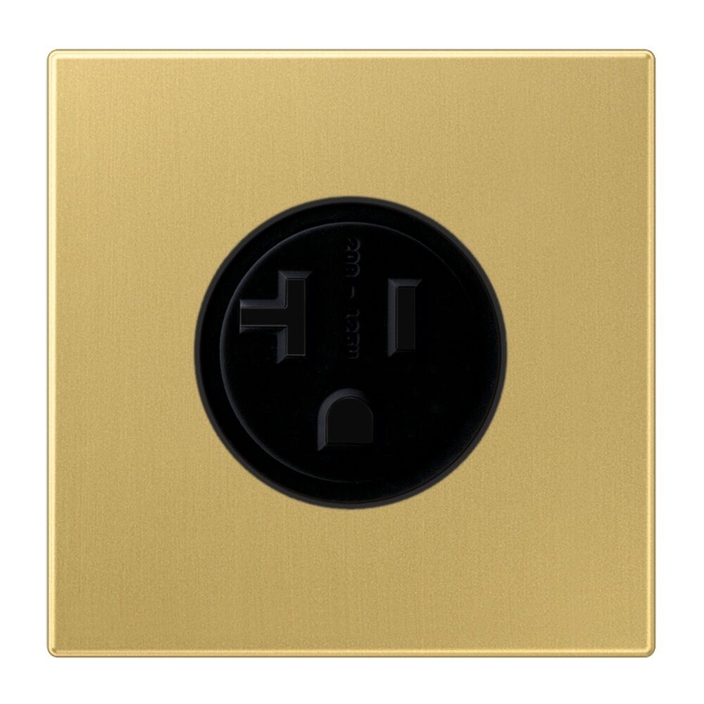 Jung Nema Steckdose ME 2521-20 C