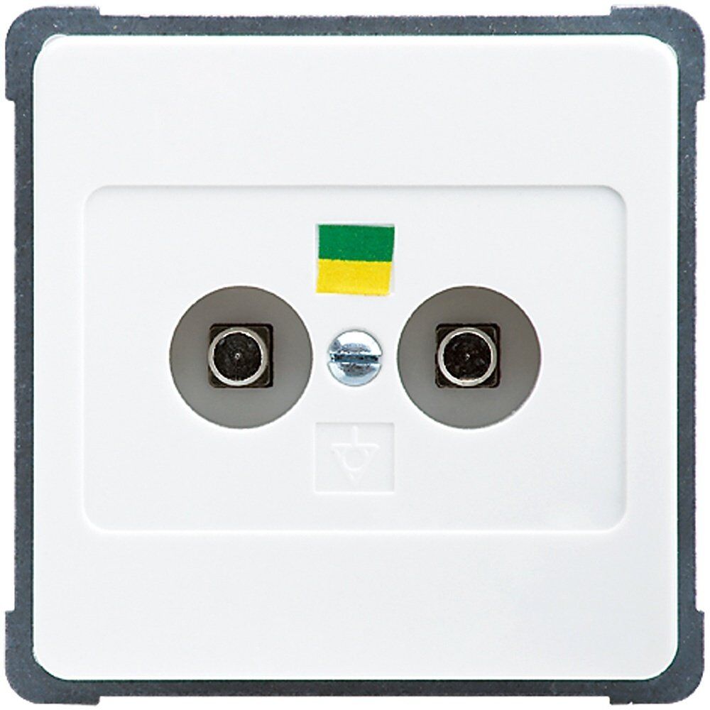 Elso Potentialausgleichsdose 216104