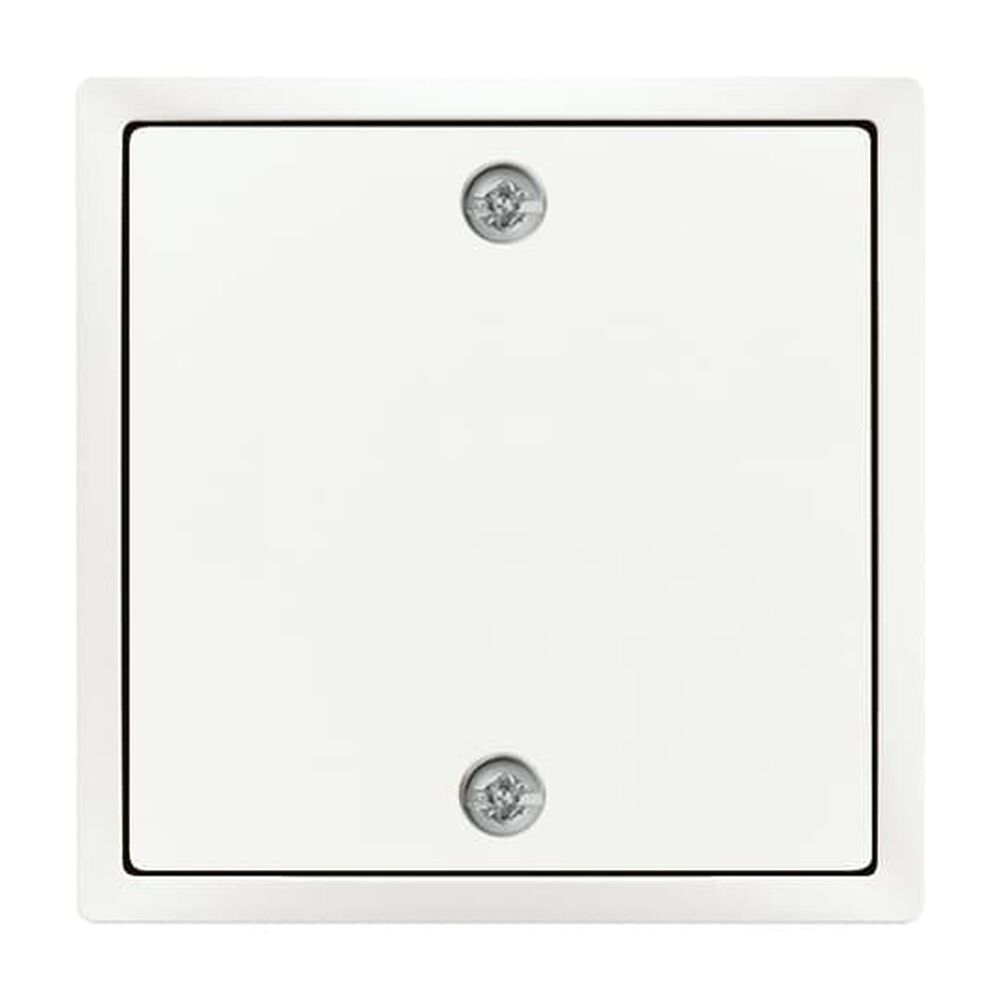 Busch-Jaeger Zentralscheibe 1796-884 Nr. 2CKA001753A0313