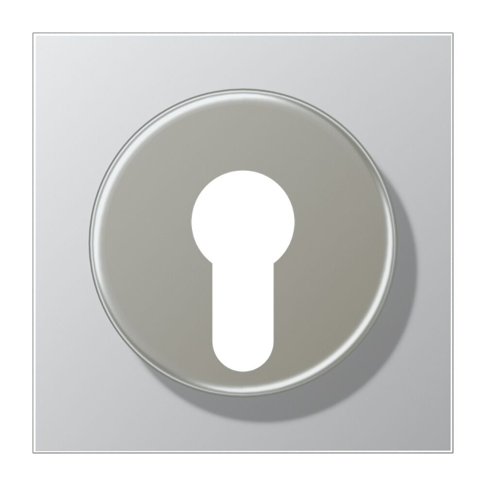 Jung Abdeckung Schlüsselschalter AL 2928