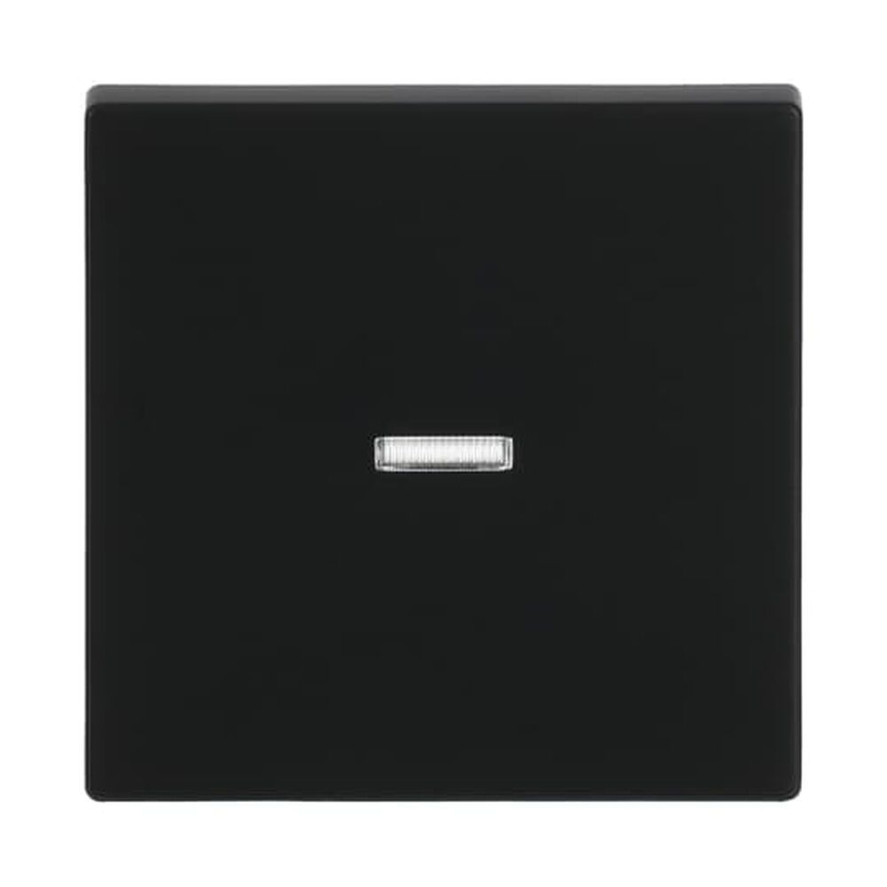 Busch-Jaeger Wippe 1789 N-885 Nr. 2CKA001751A3154