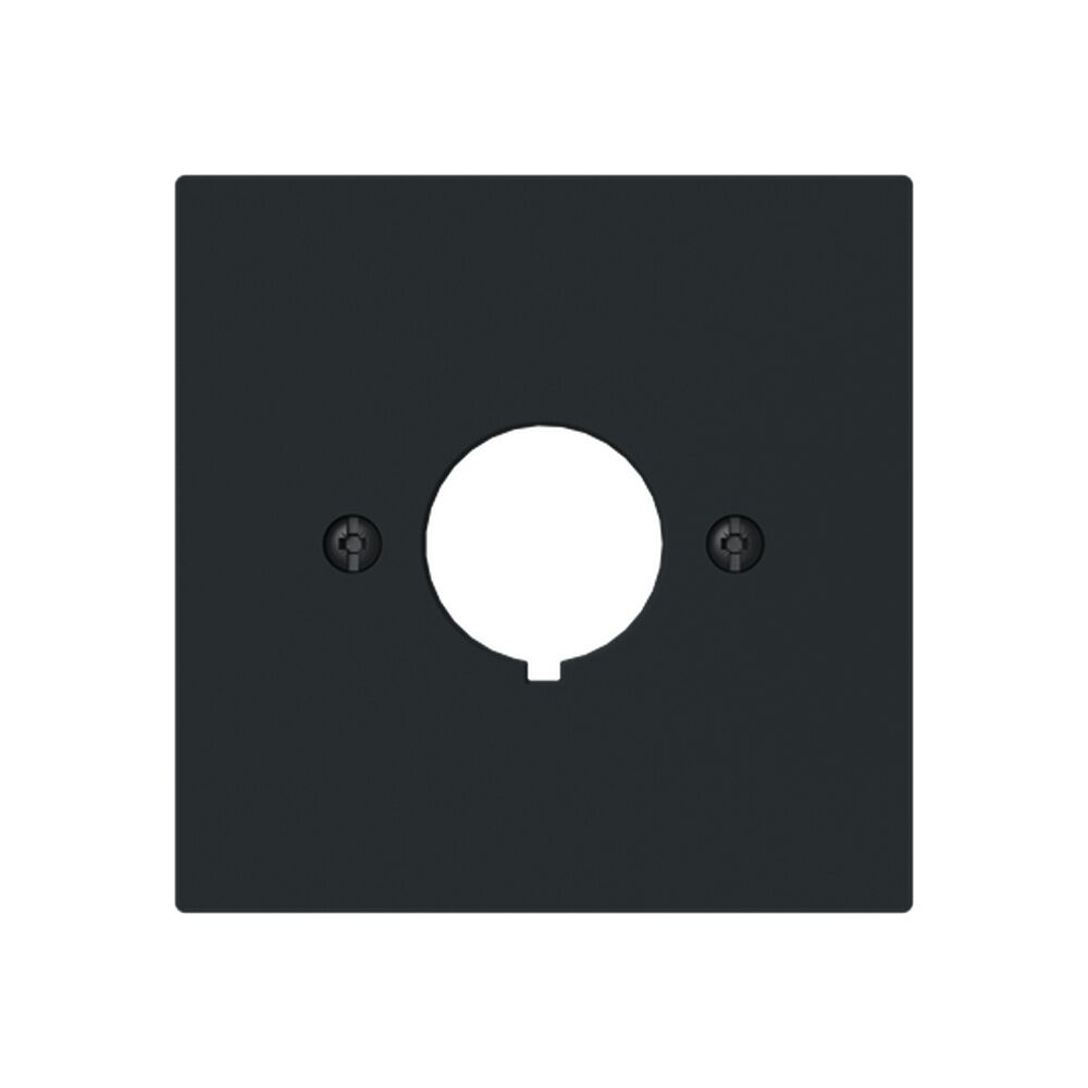 Busch-Jäger Zentralscheibe 2533-45M Nr. 2CKA001724A4447