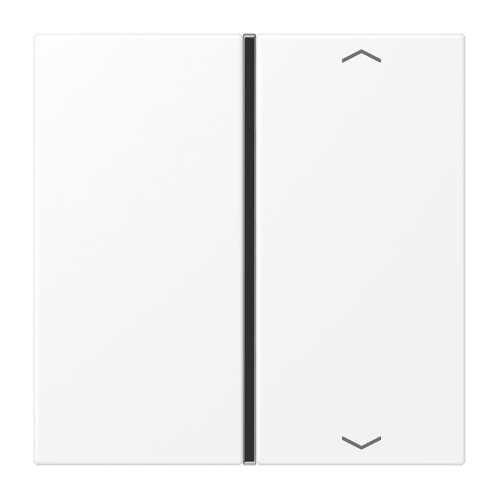 Jung Taste 1fach LS401TSAPWWM