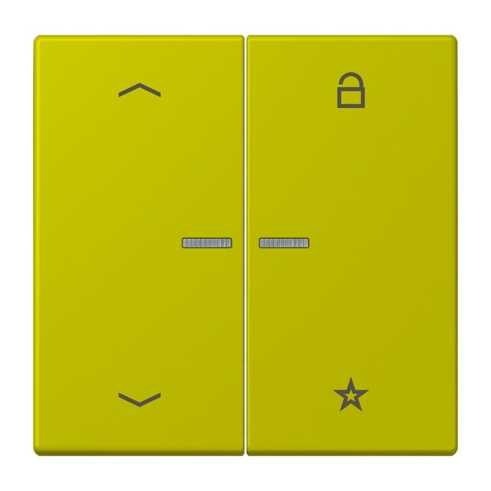 Jung Taster FMLC1701P249