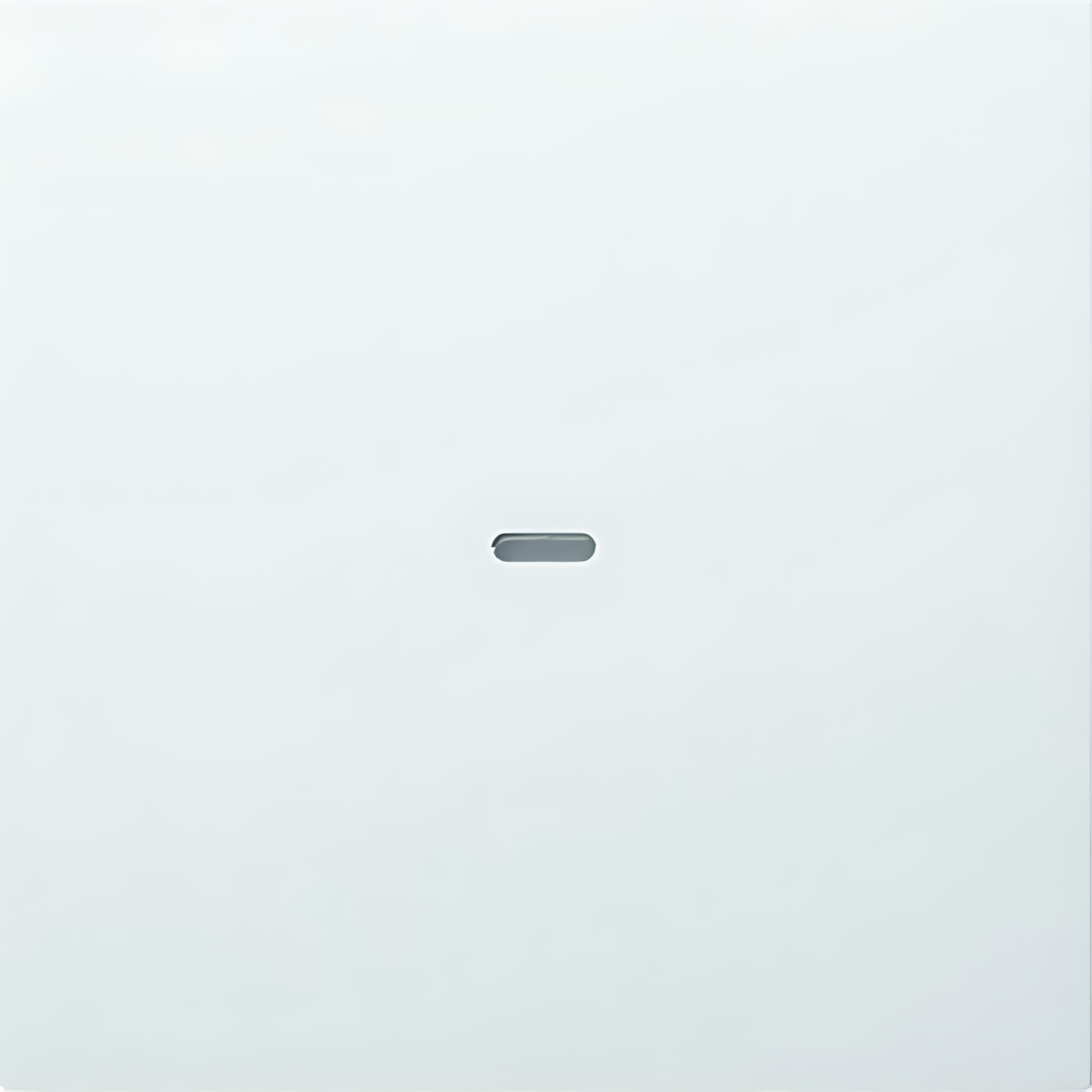 Berker Abdeckung 80960289