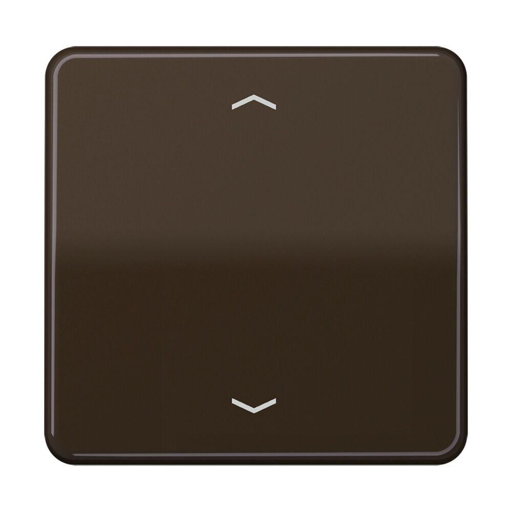 Jung Steuertaste CD1700PBR