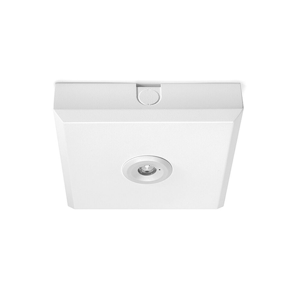 ESYLUX Notleuchte EN10080005 Typ ELH C LED SC SM weiß