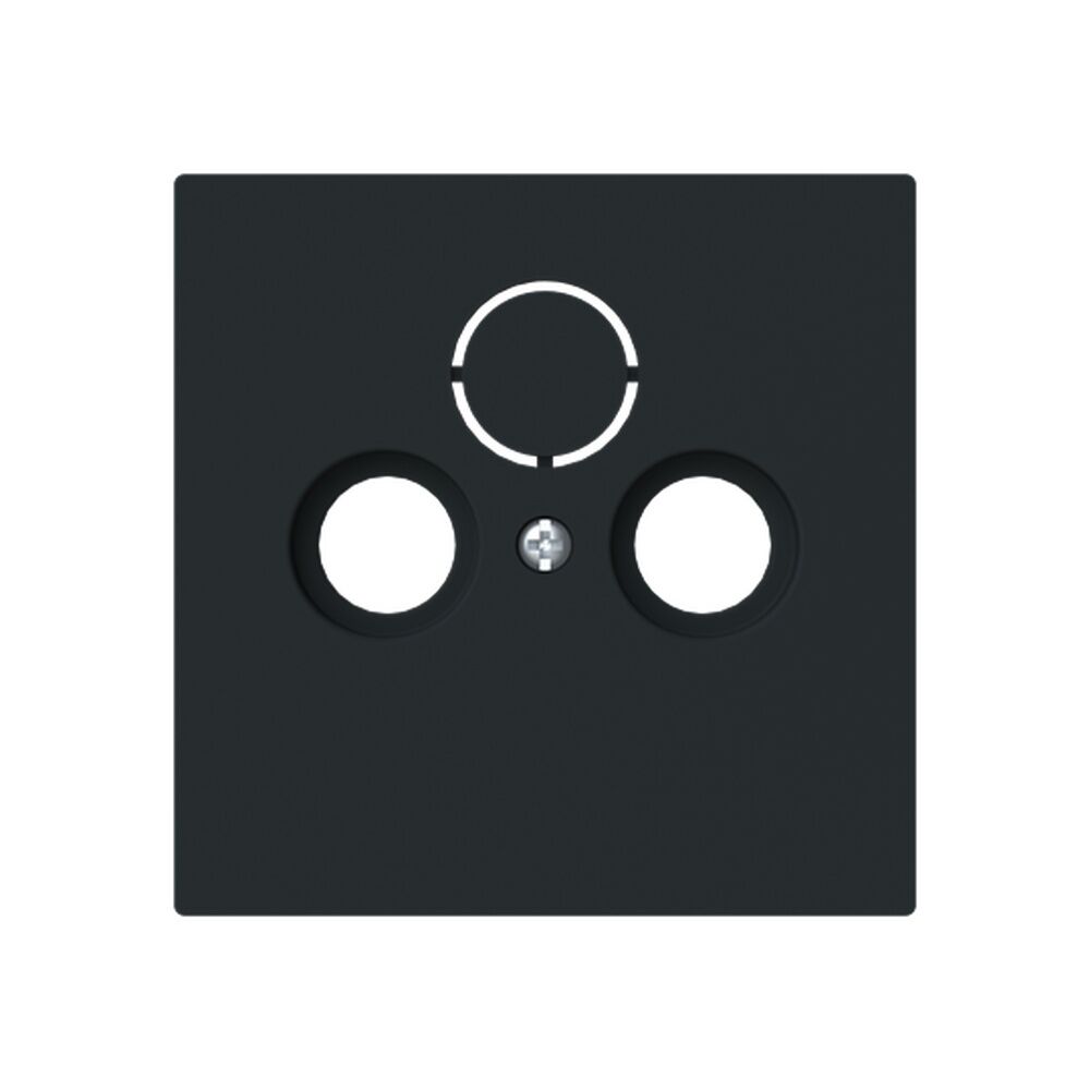 Busch-Jaeger Zentralscheibe 1743-45M Typ 2CKA001724A4435