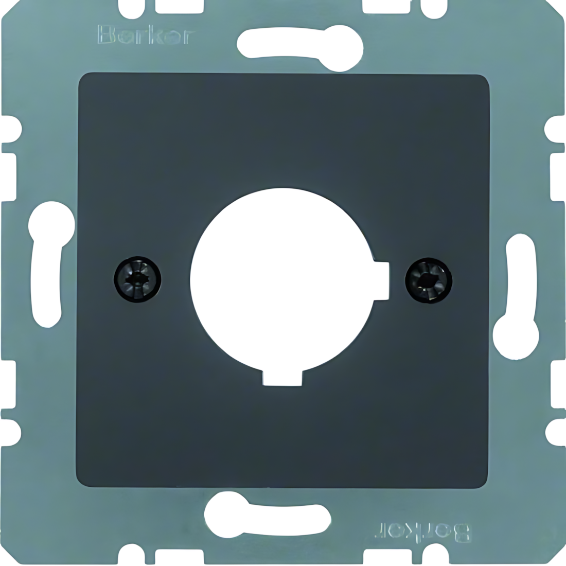 Berker Zentralplatte 14321606 