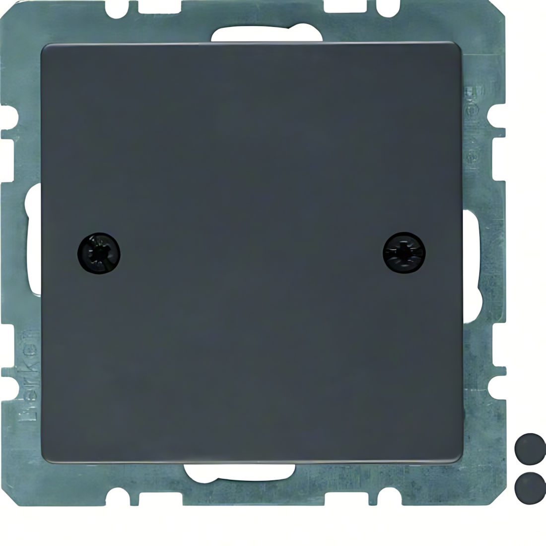 Berker Blindverschluss 10096076 