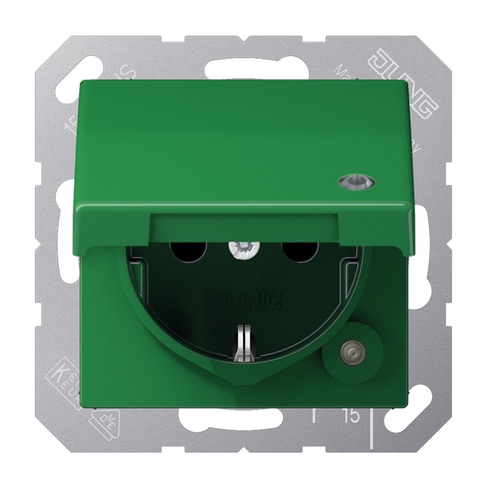Jung Schutzkontakt Steckdose A 1520 BFKLKO GN