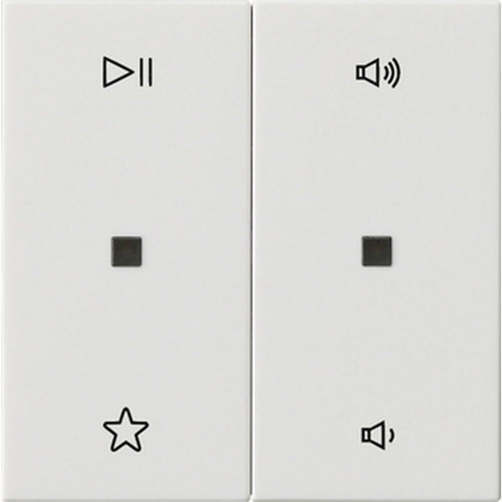 Gira Wippe 2fach 538403