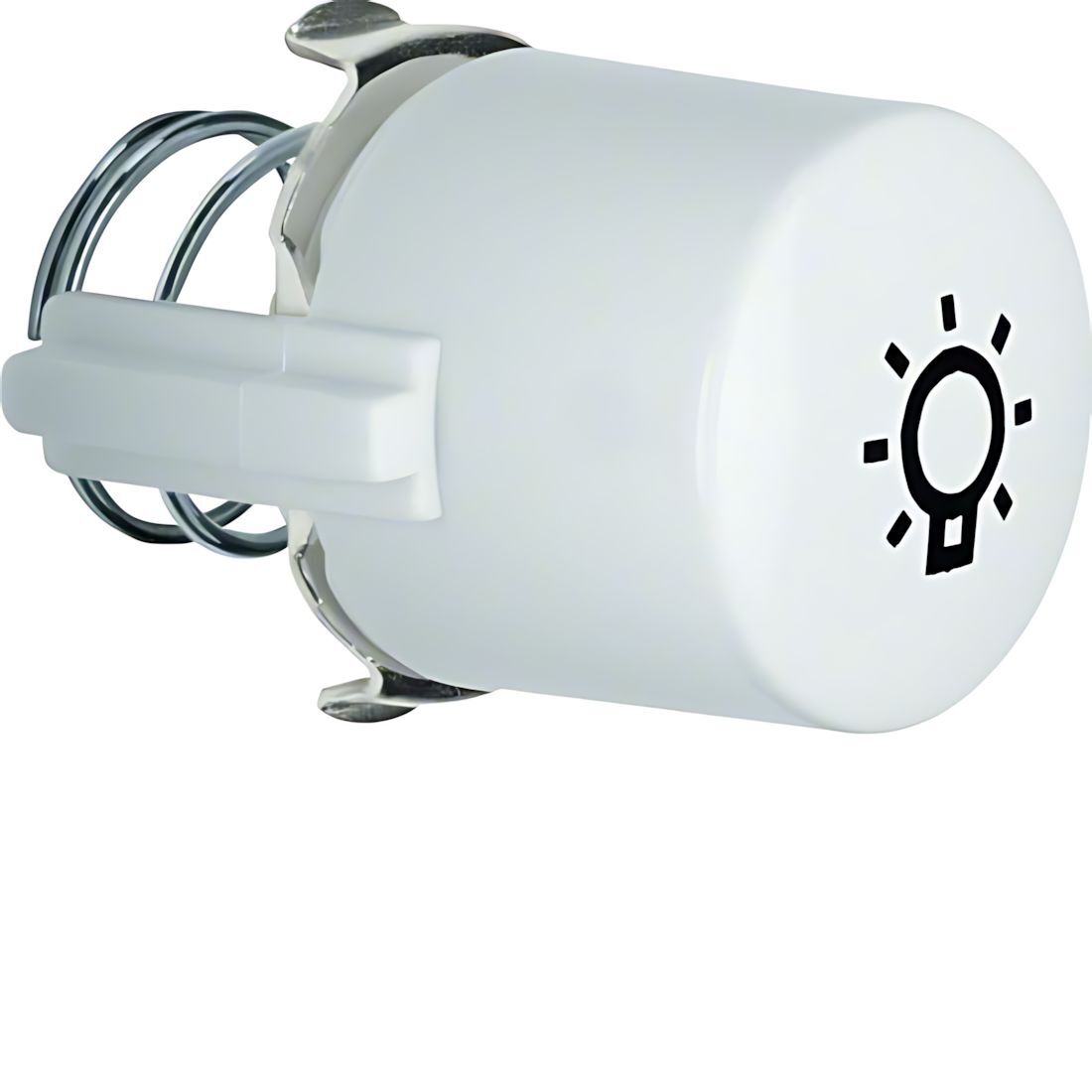 Berker Tasterknopf 1226