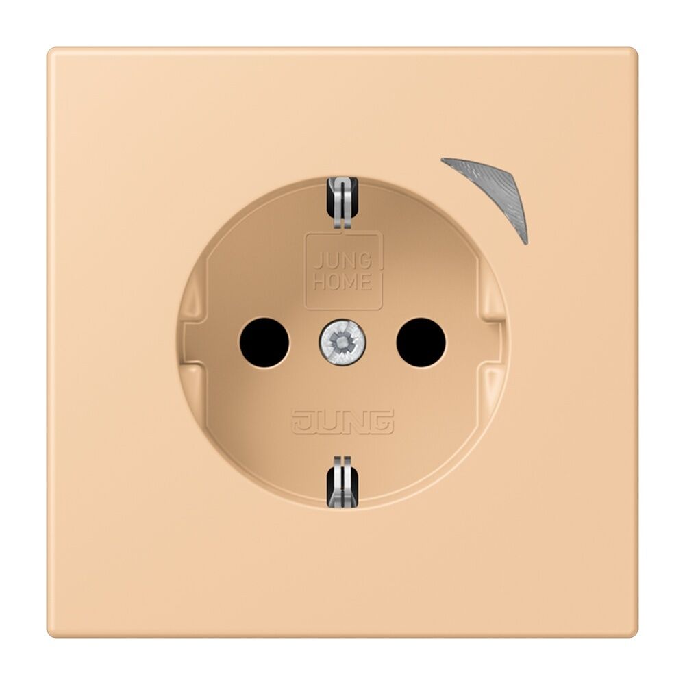 Jung JUNG HOME SCHUKO Steckdose BTLC1521SE237 