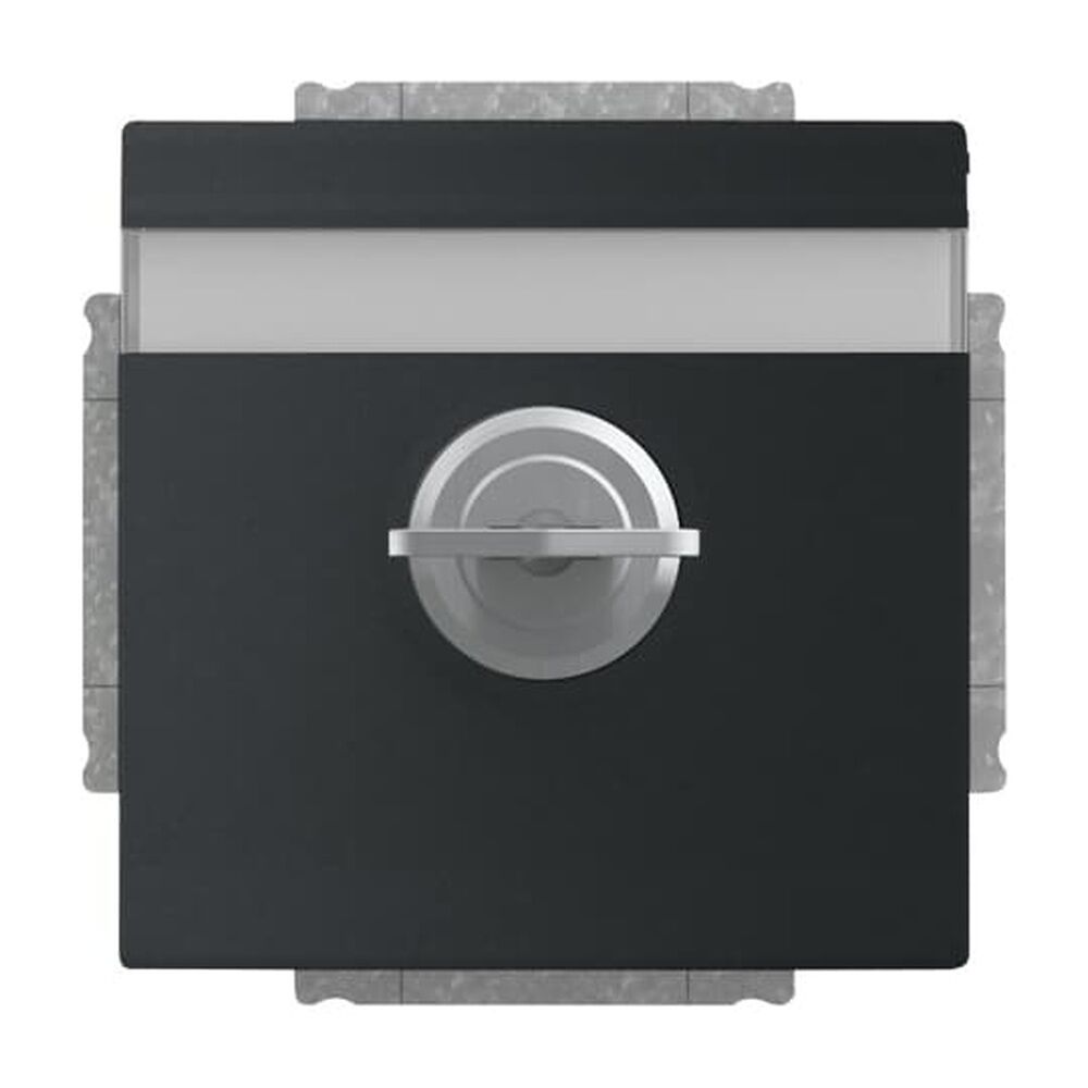 Busch-Jaeger SCHUKO Steckdosen Einsatz 20 EUKNBSL-885 Nr. 2CKA002018A1567 