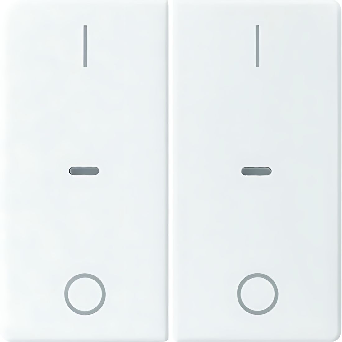 Berker Tastsensor Abdeckung 80962329