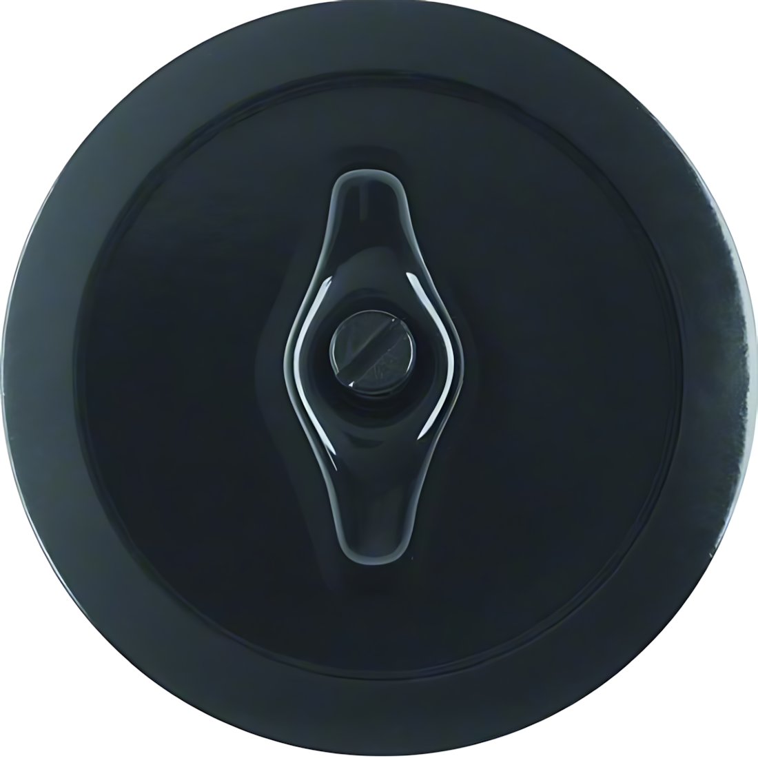 Berker Zentralstück 164701 