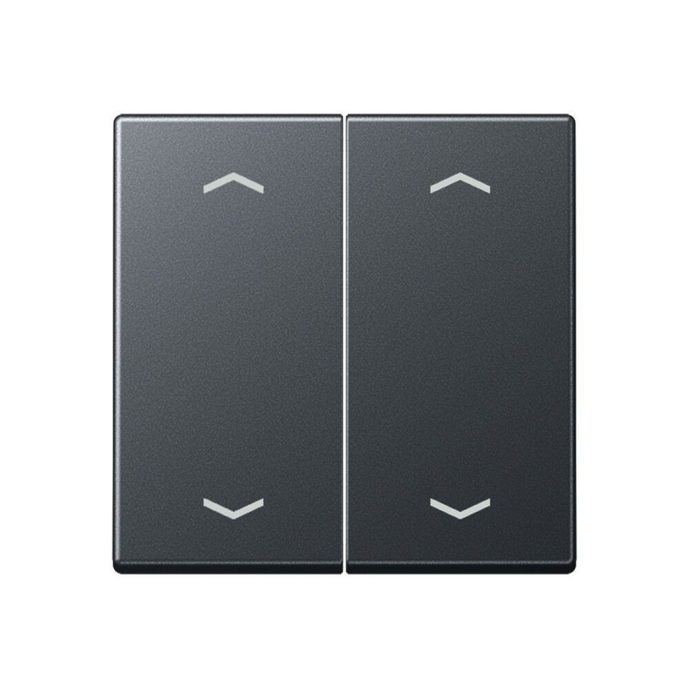 Jung Serienwippe A102PBFANM