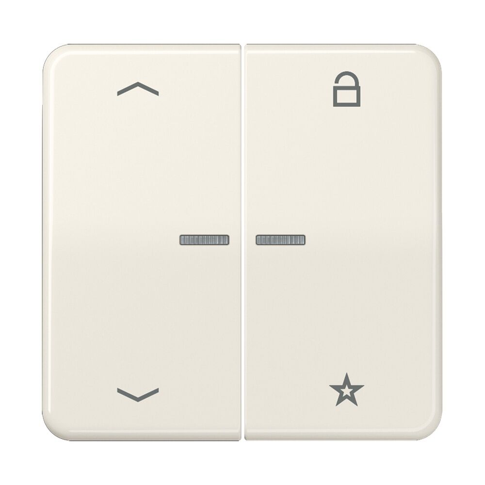 Jung eNet Funk Steuertaste FMCD1701P