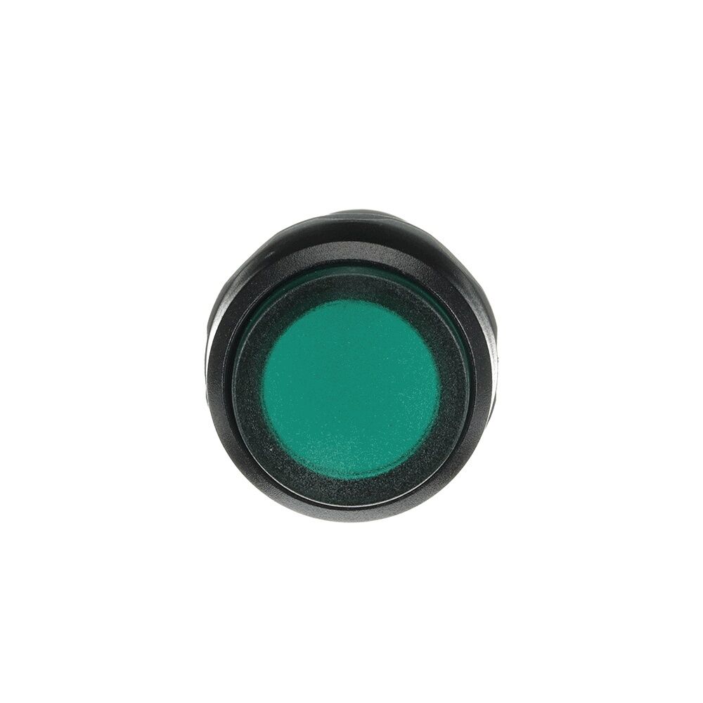 ABB Leuchtdrucktaster 1SFA619102R1212 Typ CP3-12G-10