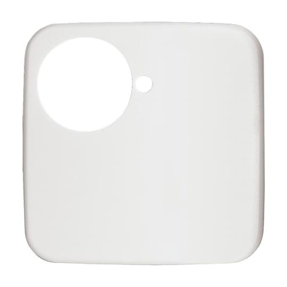 Busch-Jaeger Zentralscheibe 1790-581-214 Nr. 2CKA001710A2918 