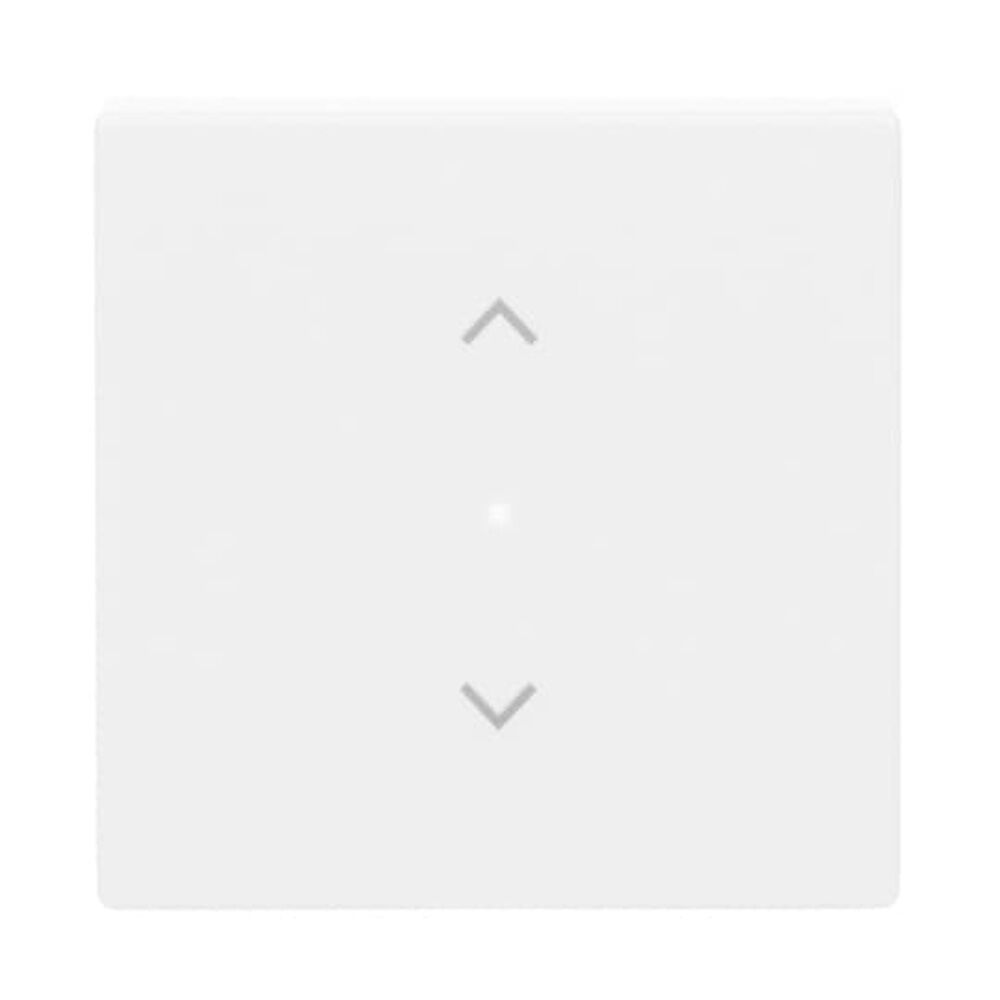 Busch-Jaeger Wippe 6232-10-84 Nr. 2CKA006220A0040