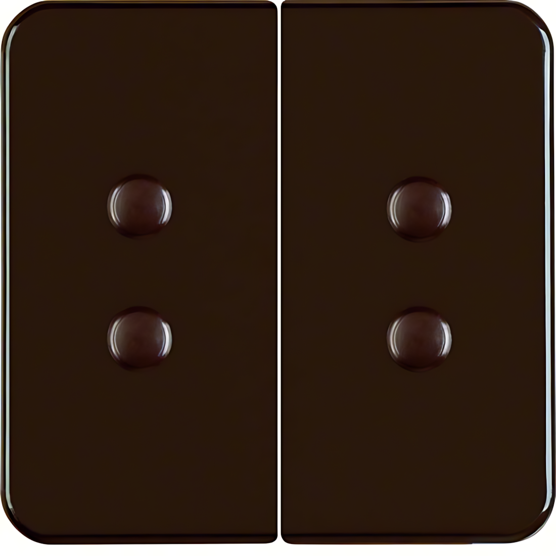 Berker Wippen 156511 