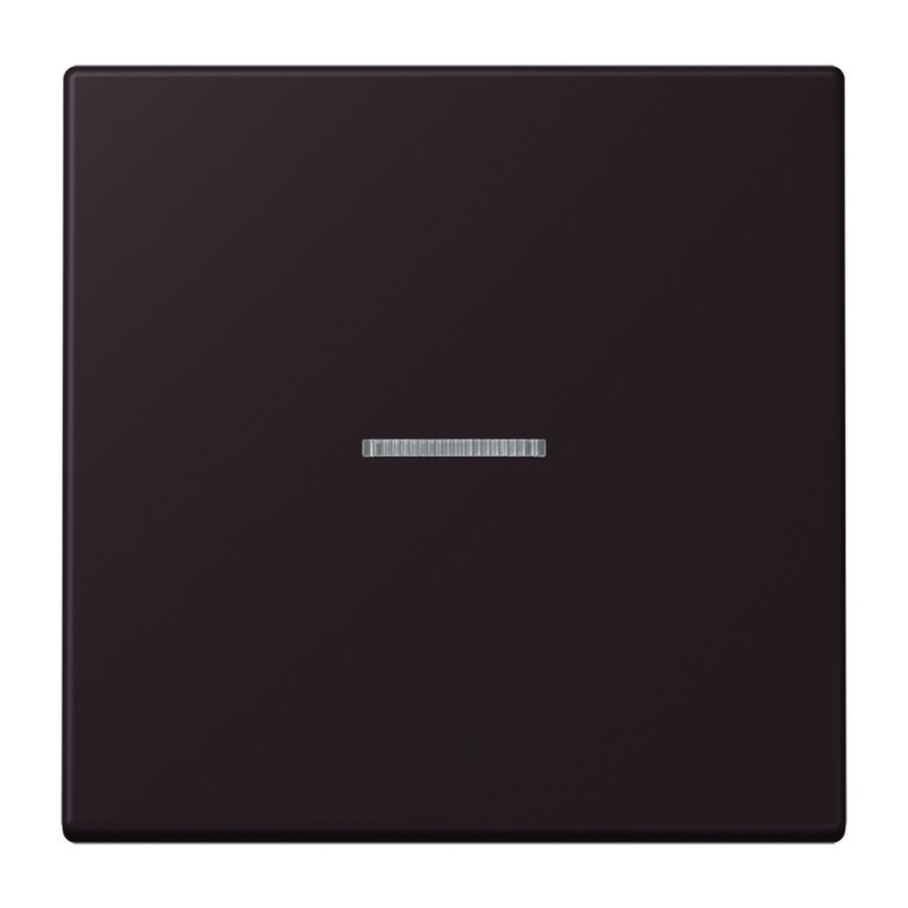 Jung JUNG HOME Taster BTLC17101248 