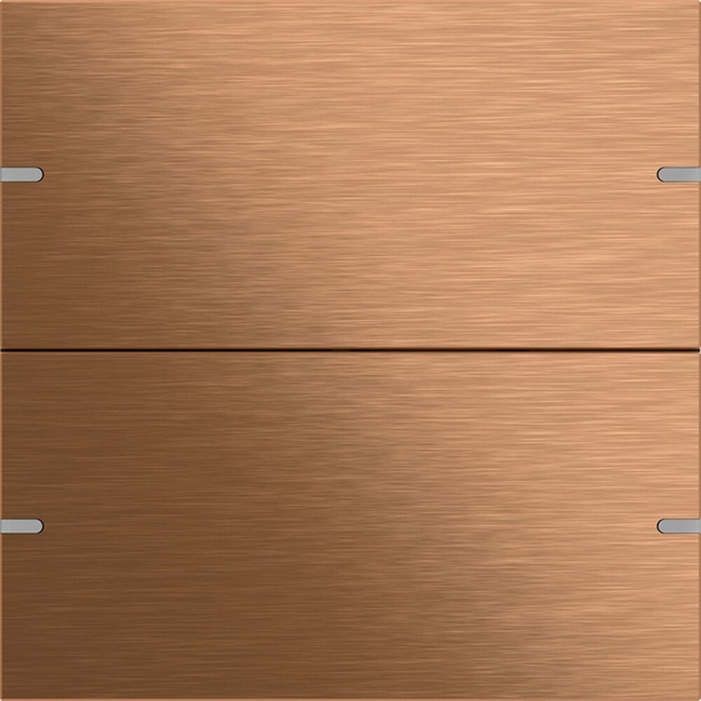 Gira Wippenset 2fach 502238