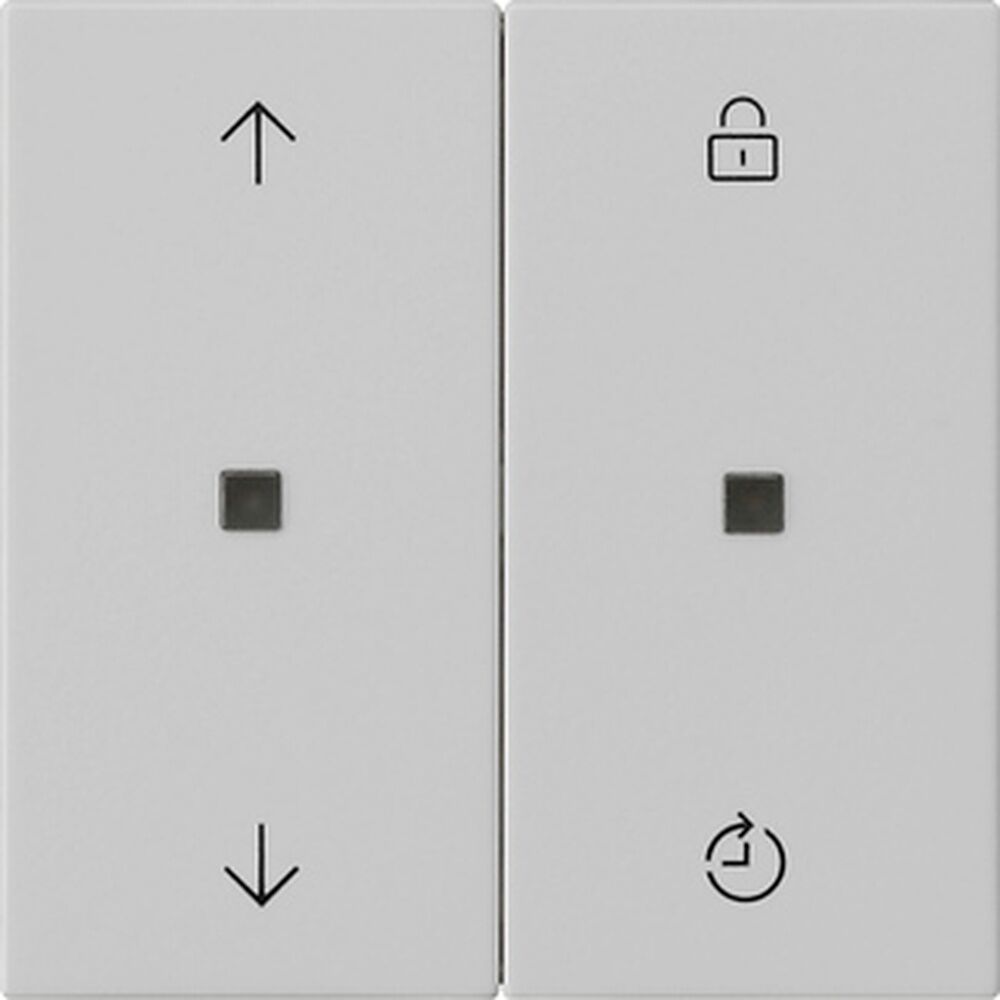 Gira Bedienaufsatz System 5363015