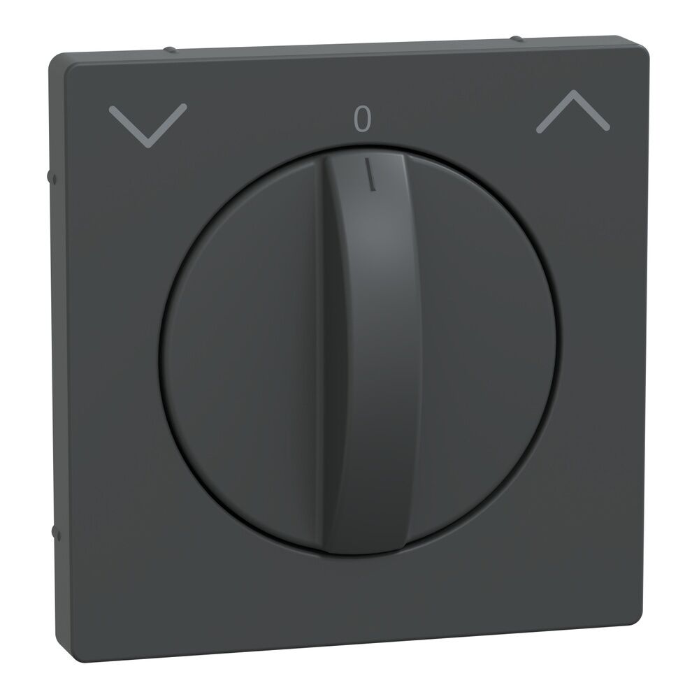 Merten Zentralplatte MEG3875-6034