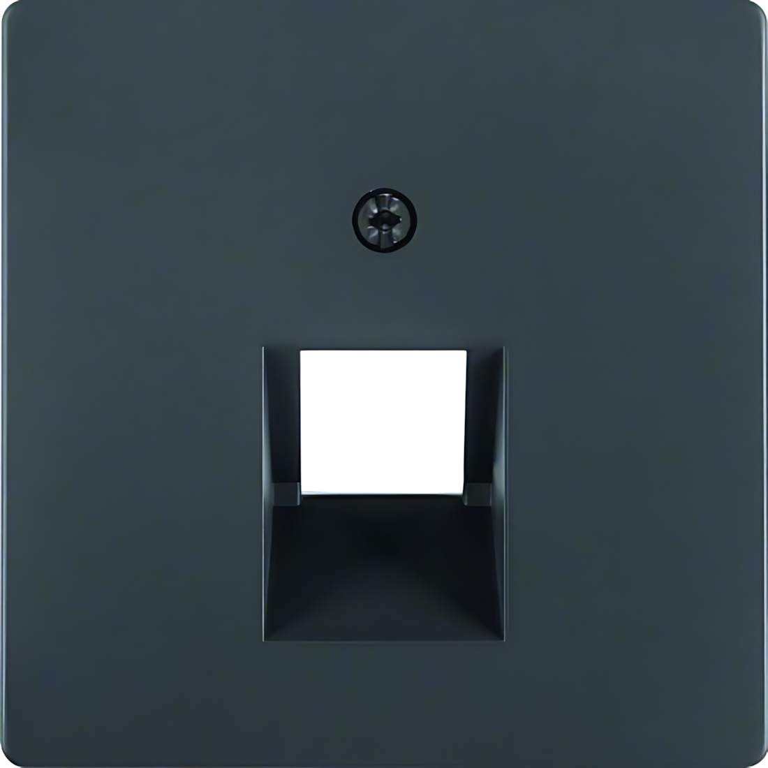 Berker Zentralstück 14076086 