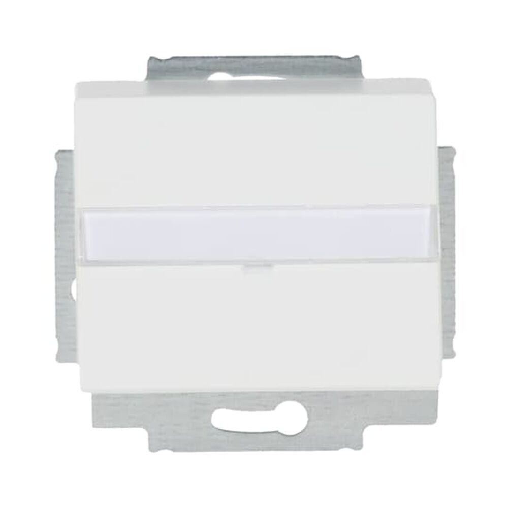 Busch-Jaeger Zentralscheibe 1758-884 Nr. 2CKA001724A4307