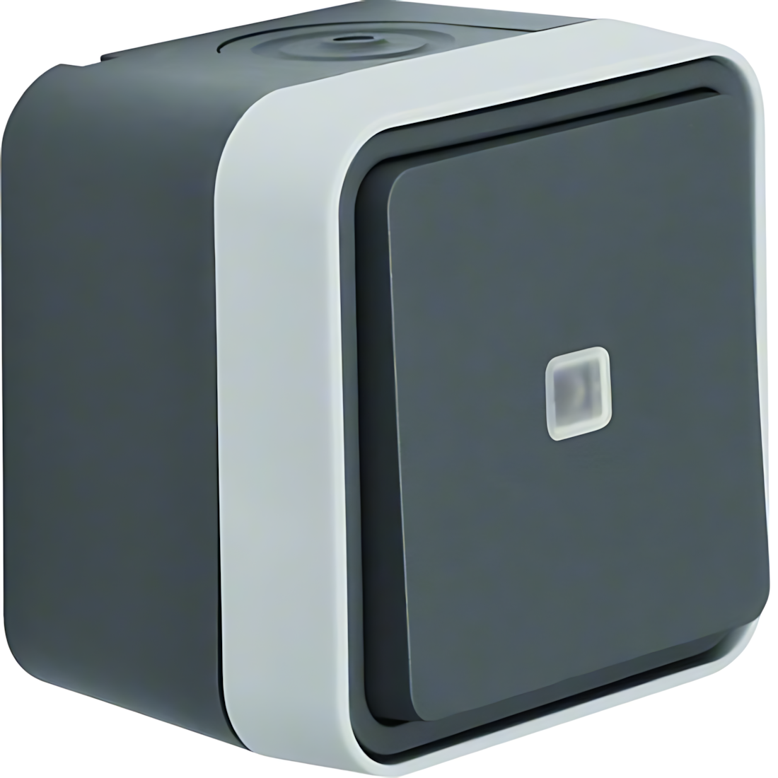 Berker Taster 50763505