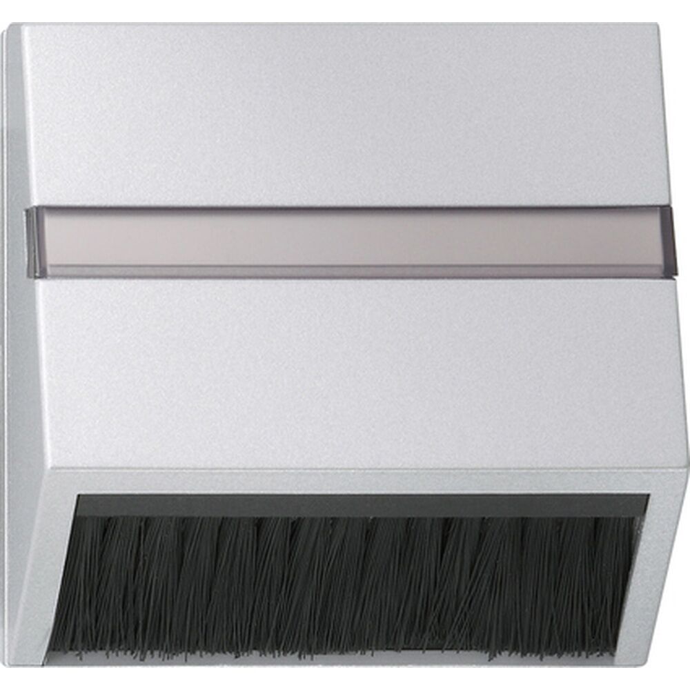 Gira Adapterrahmen Steckhaube 068226