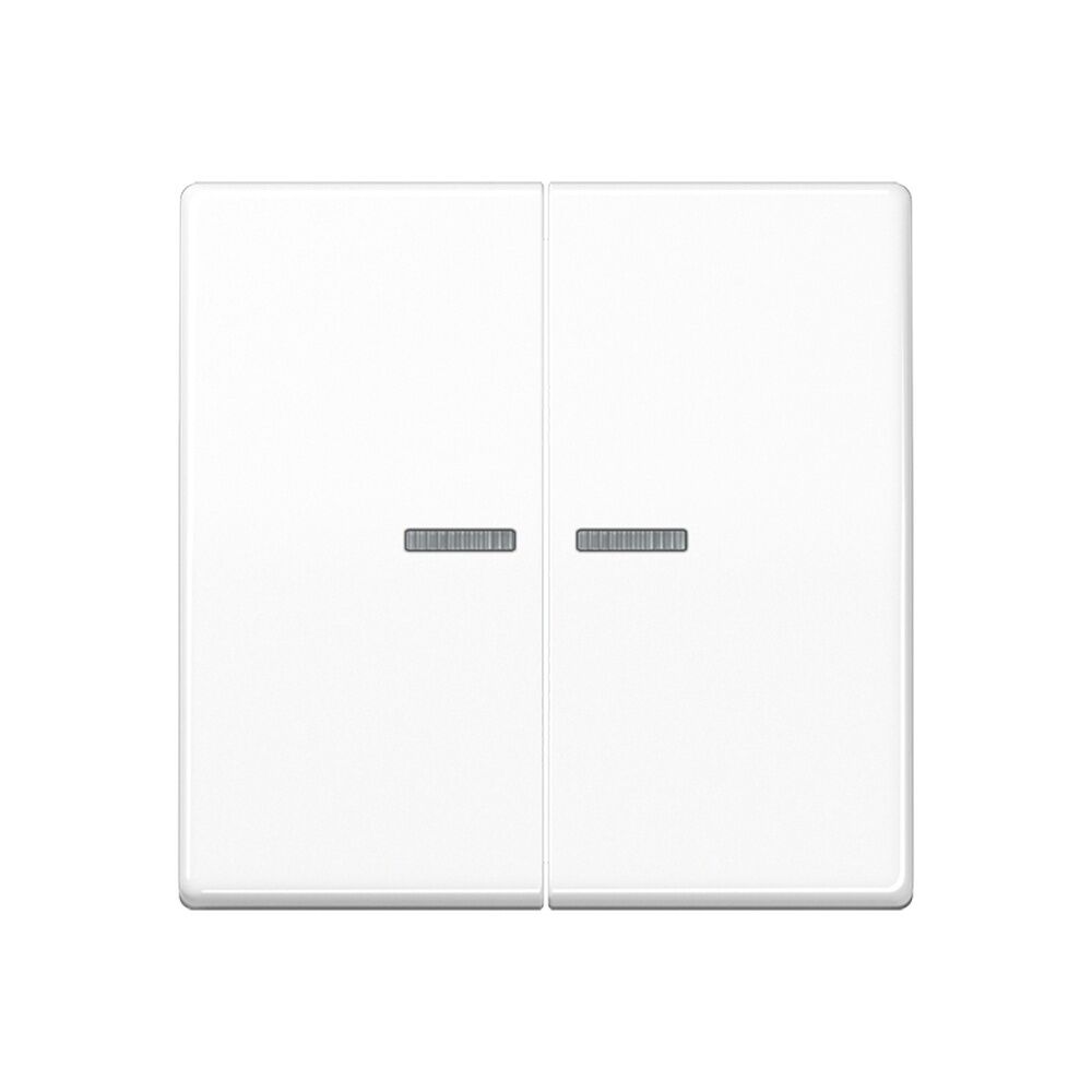 Jung Wippe AS 591-5 KO5BF WW