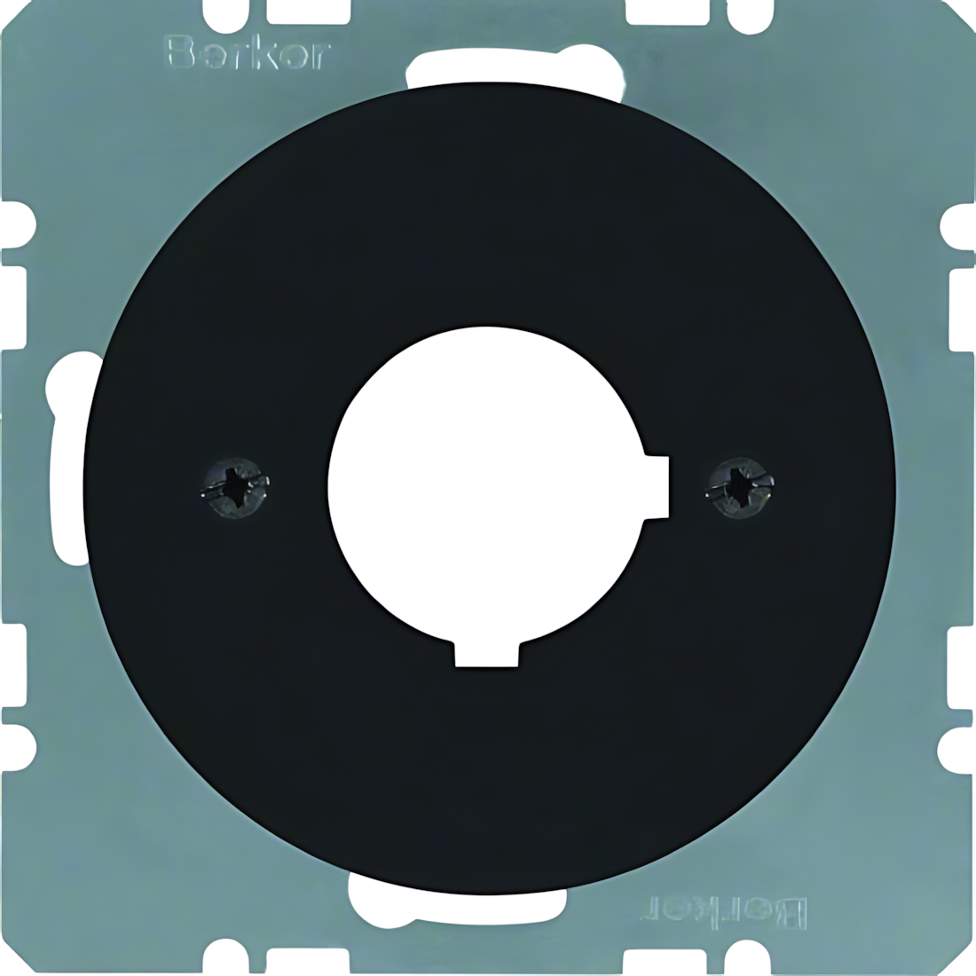 Berker Zentralplatte 14322045 