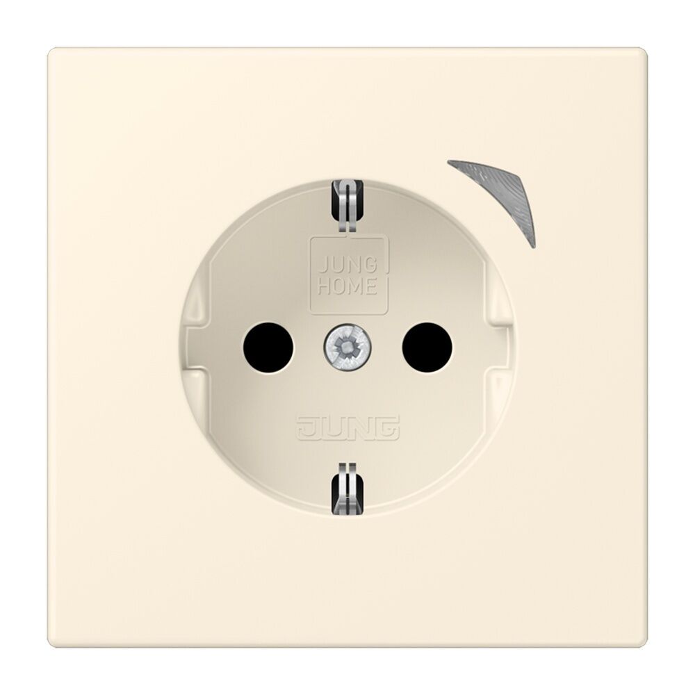 Jung JUNG HOME SCHUKO Steckdose BTLC1521S245 