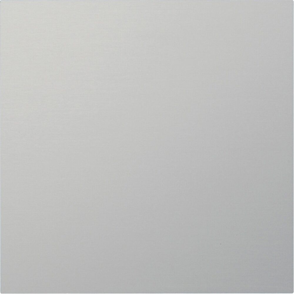 Gira Info-/Blindmodul 5554926