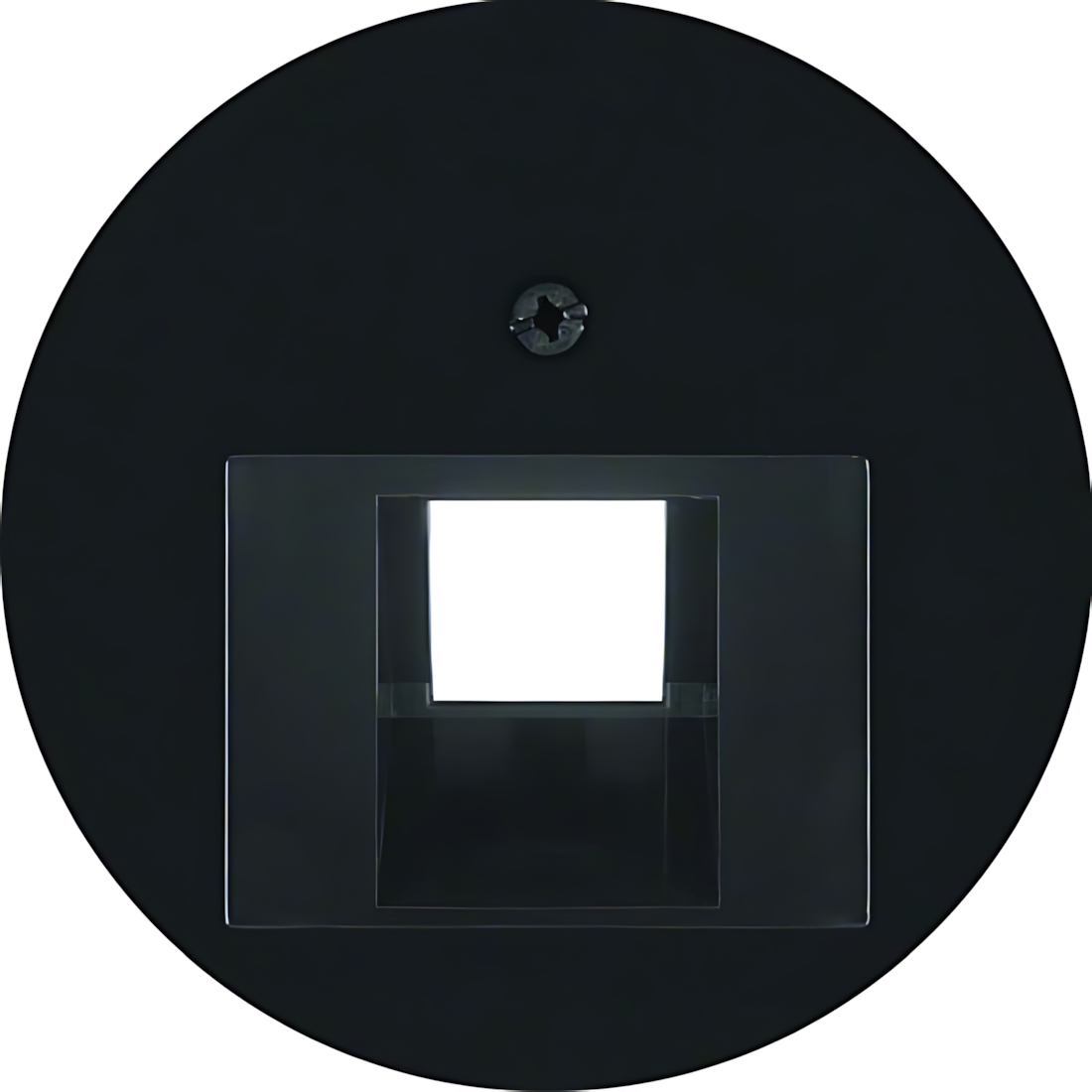 Berker Zentralstück 14072045 