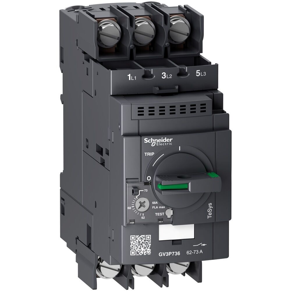 Schneider Electric Motorschutzschalter GV3P736