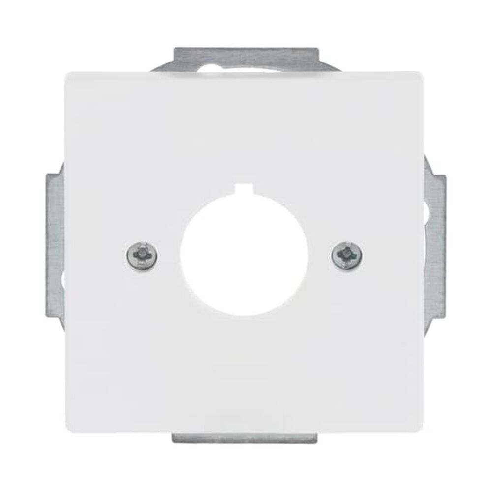 Busch-Jaeger Zentralscheibe 2533-884 Nr. 2CKA001724A4296