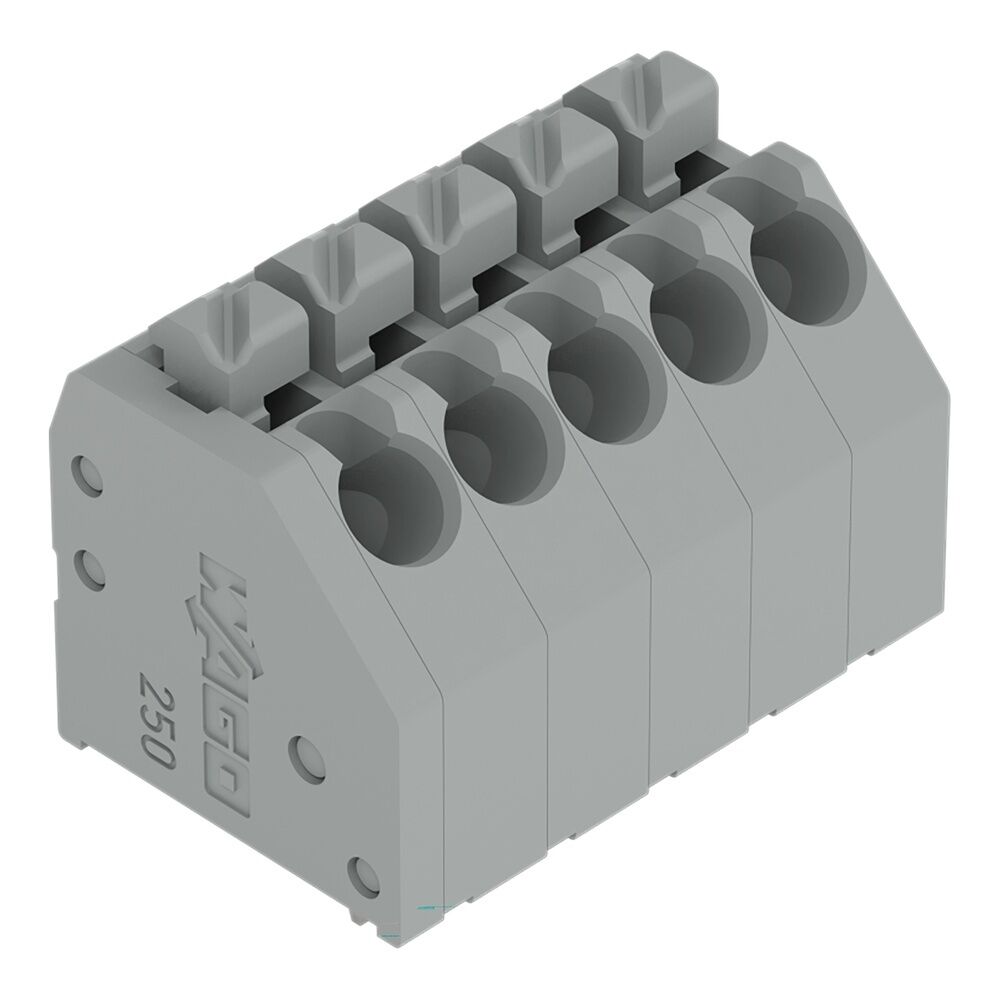 Wago Einzelklemme 250-202