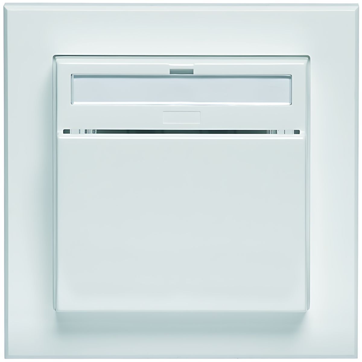 Peha Hotel Card Schalter 00381856 Typ D 20.450.022 FU-BLS HC