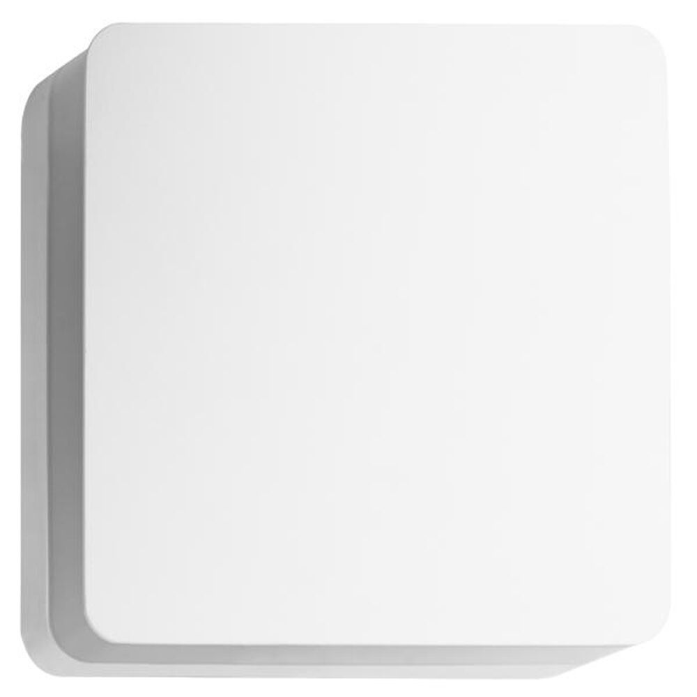 Brumberg LED Wandaufbauleuchte 10034173