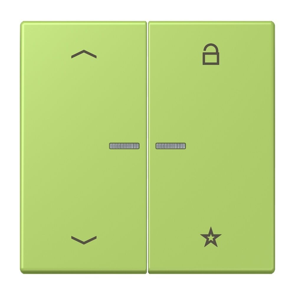 Jung Taster FMLC1701P221