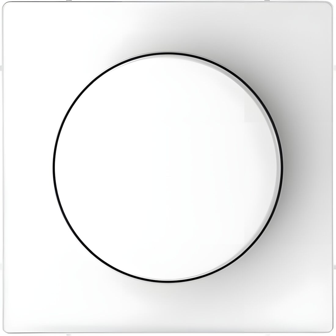 Merten Zentralplatte MEG5250-6035