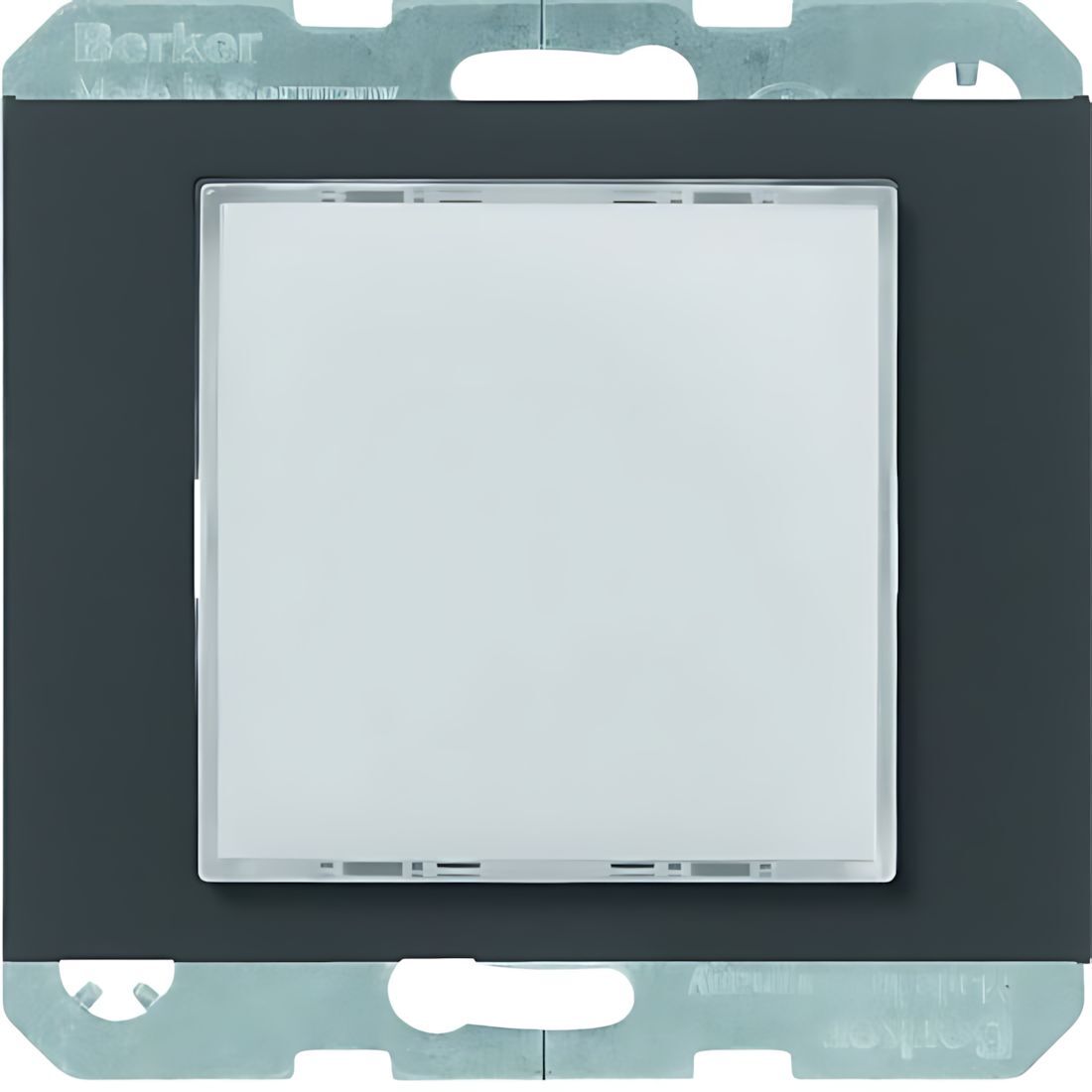 Berker LED Signallicht 29527006