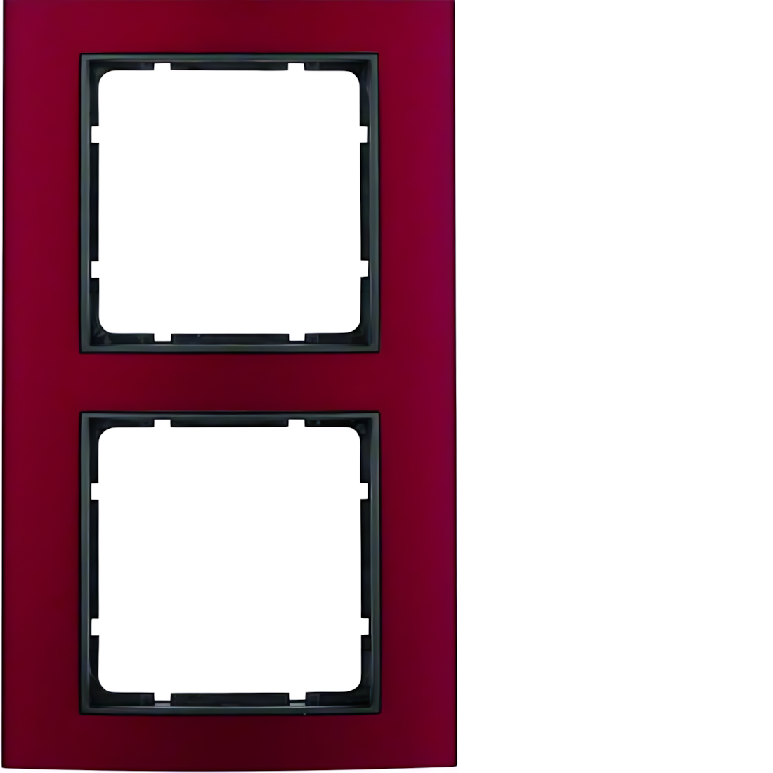 Berker 2fach Rahmen 10123012 