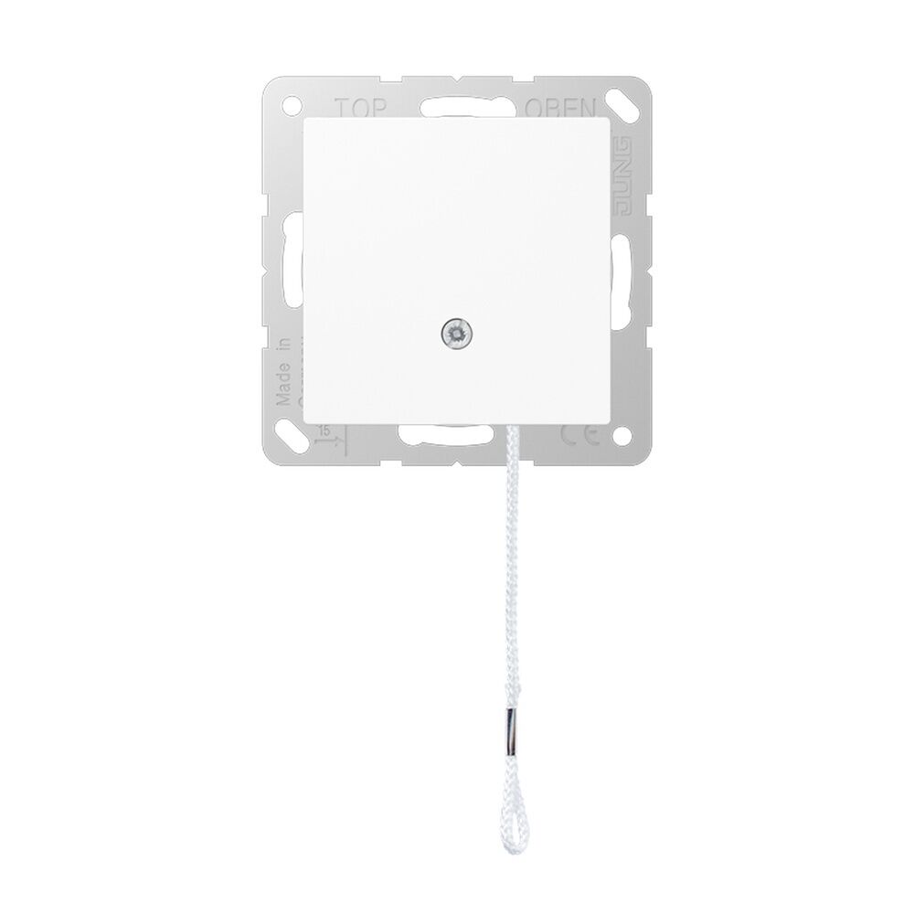 Jung Zug Wechselschalter A 506 BF NUZ WW